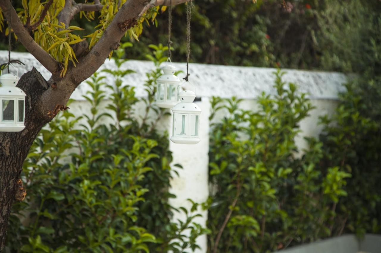 Villa Adelaide Suite & Room Torre A Mare Eksteriør bilde